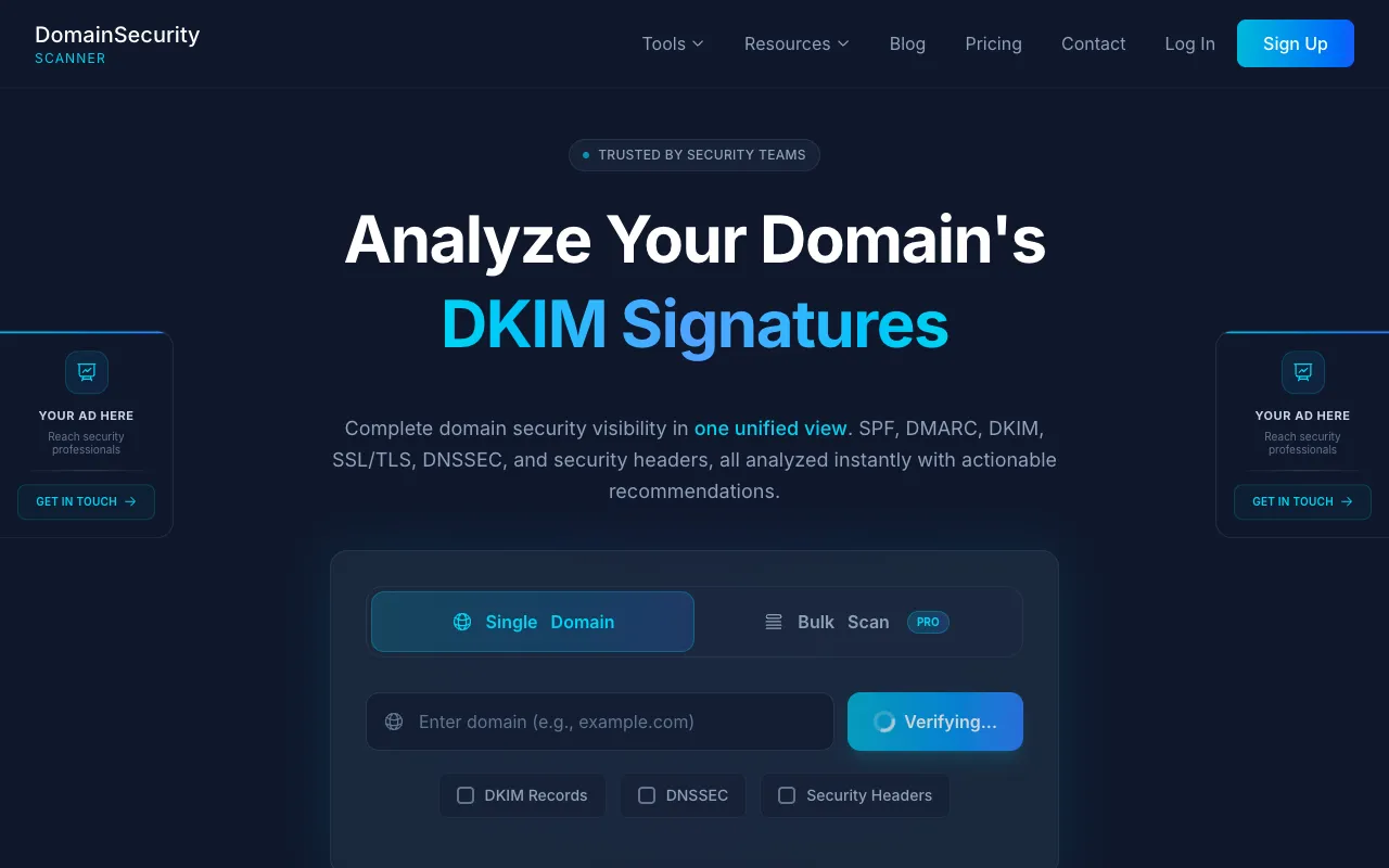 Domain Security Scanner 官网预览