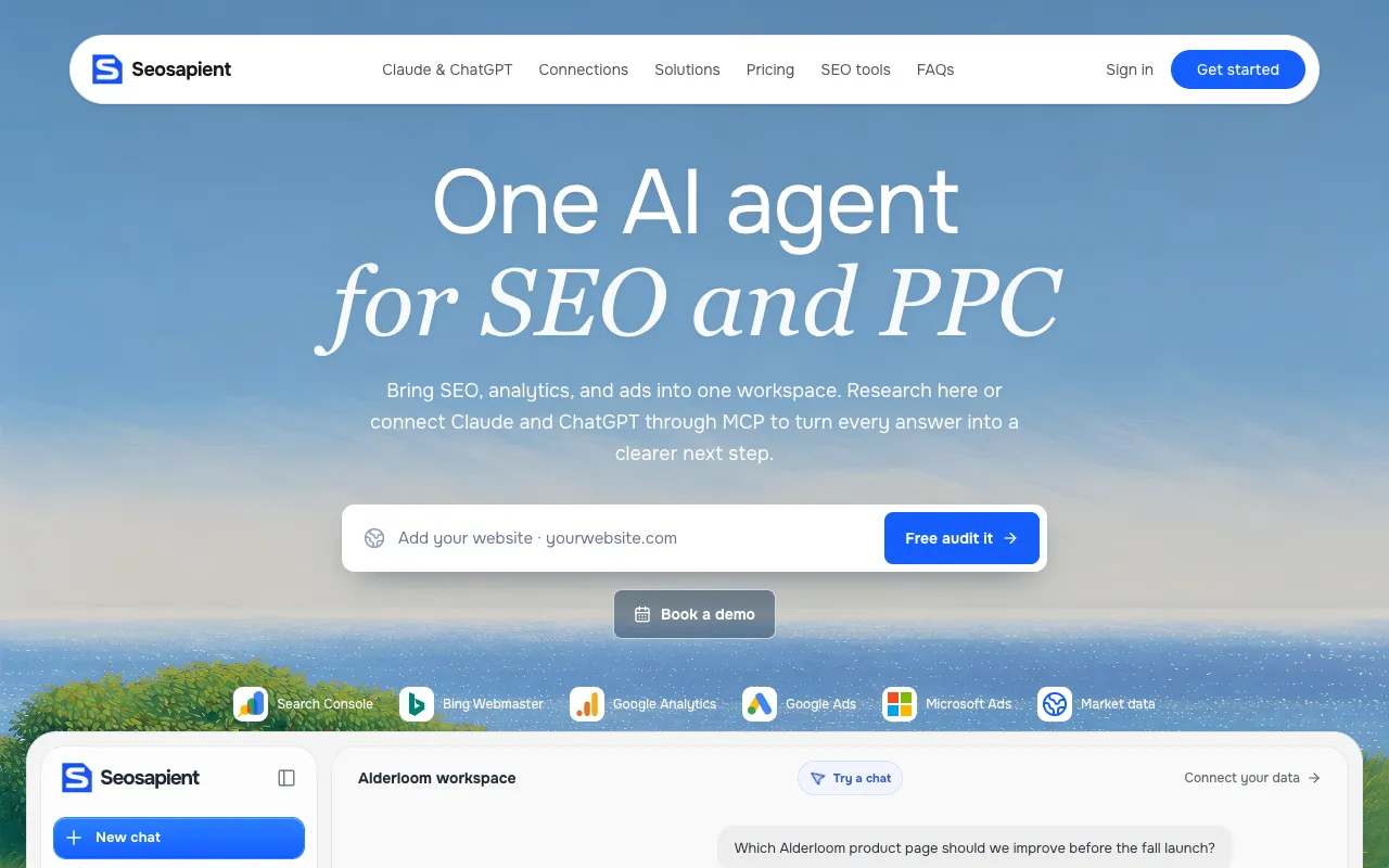 Preview of the Seosapient website