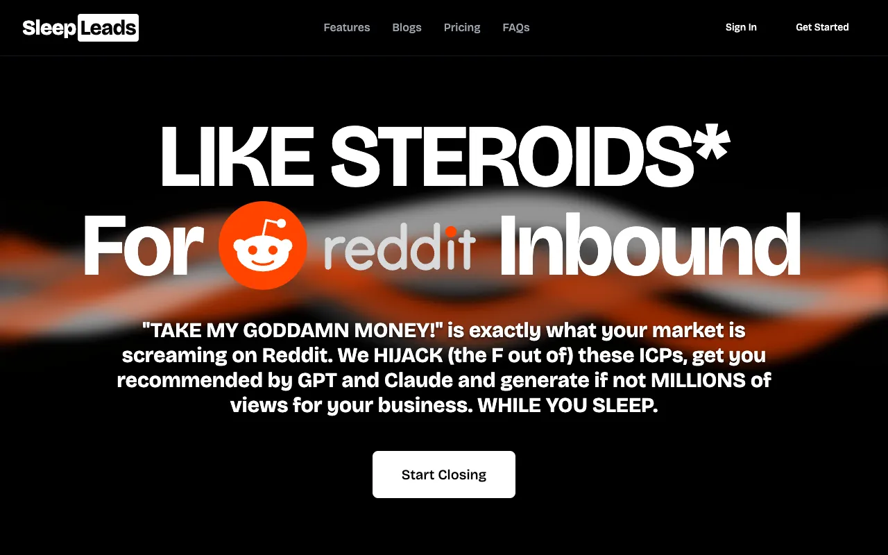 Preview of the SleepLeads website