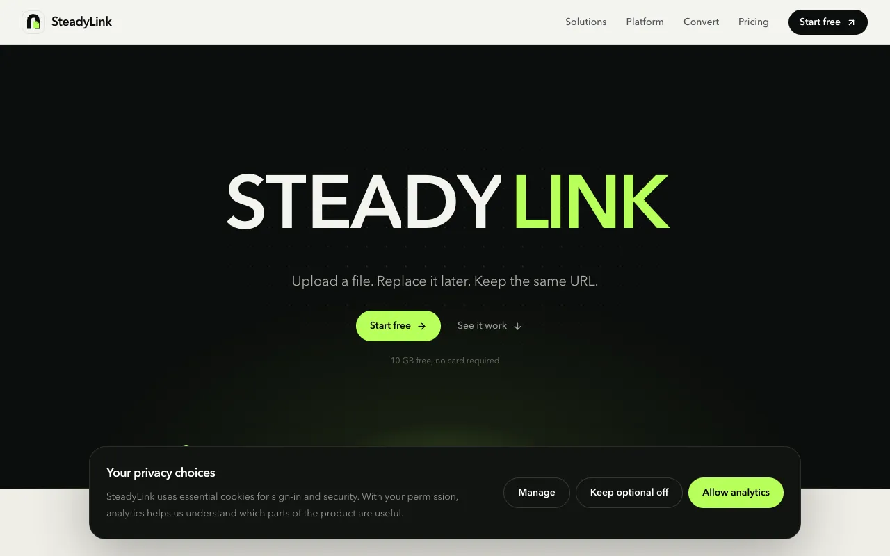 SteadyLink 官网预览